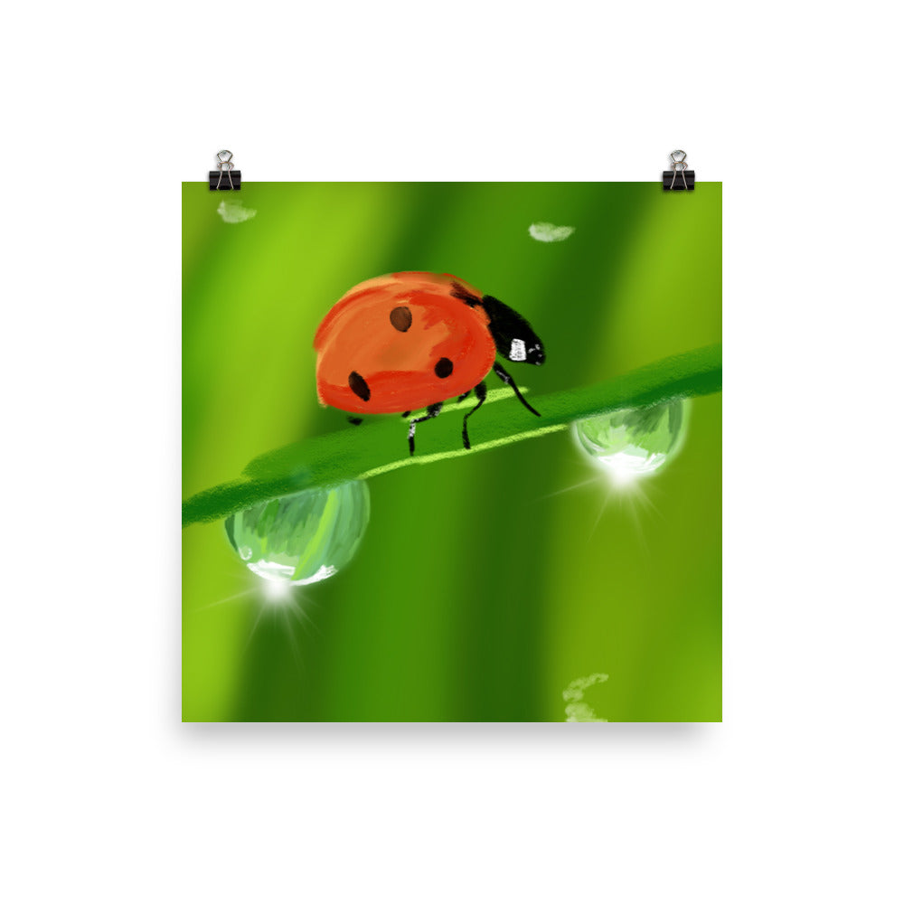 Ladybird Photo paper poster